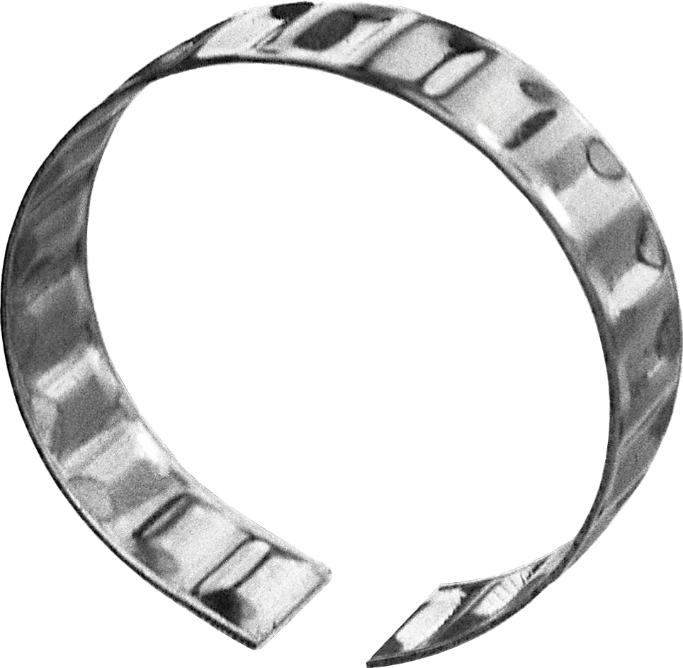 Form R0810 (AN)
